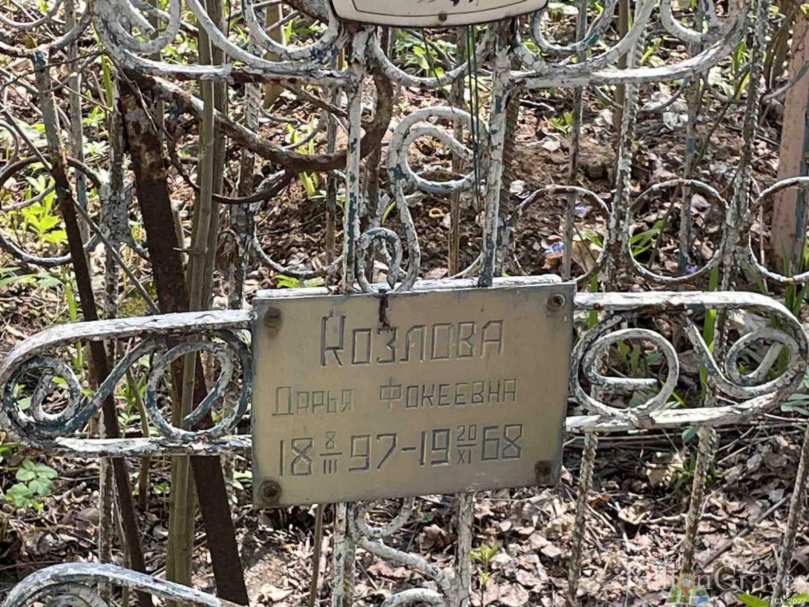 Козлова Дарья Фокеевна