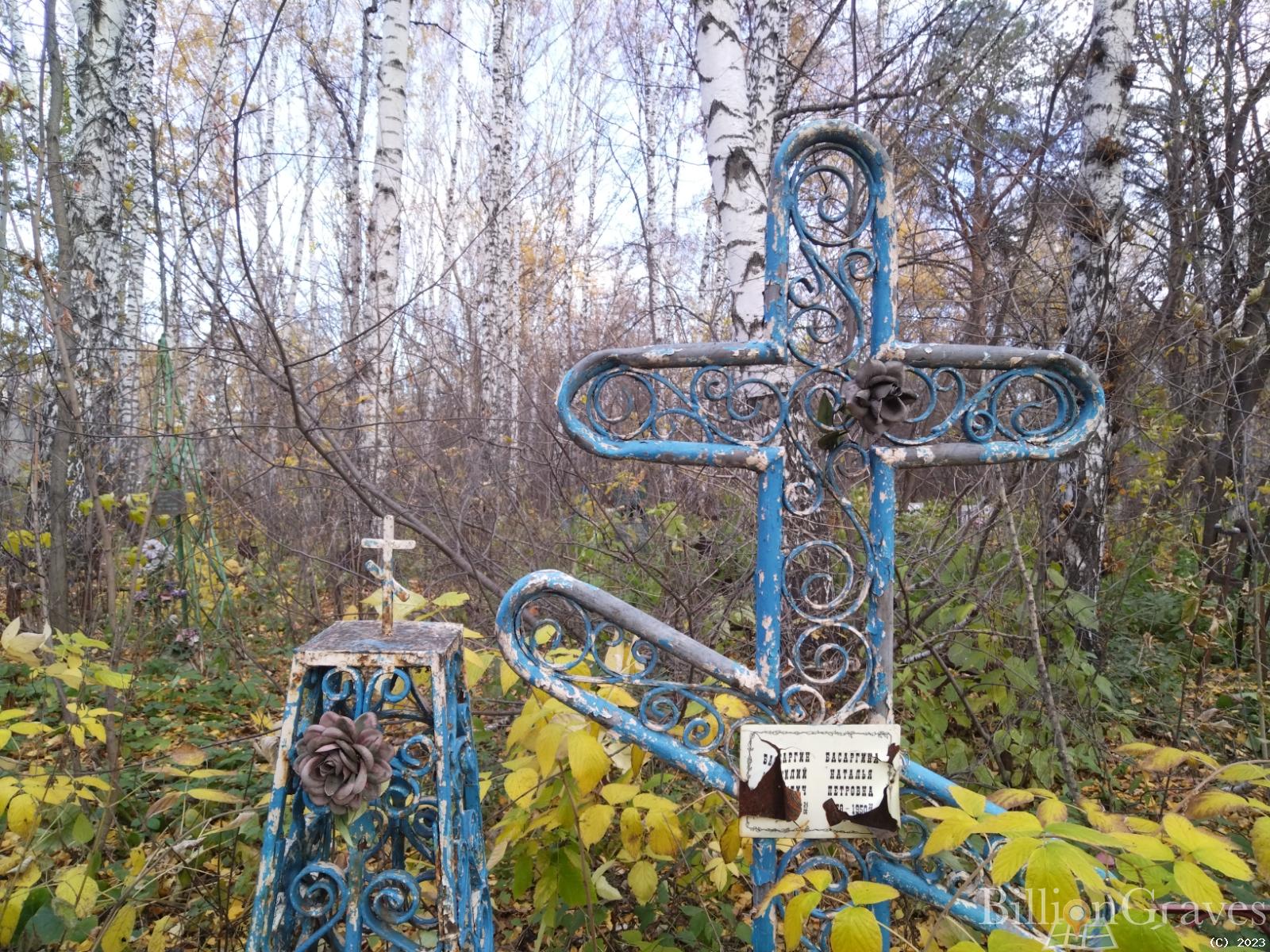 Басаргина Наталья Петровна