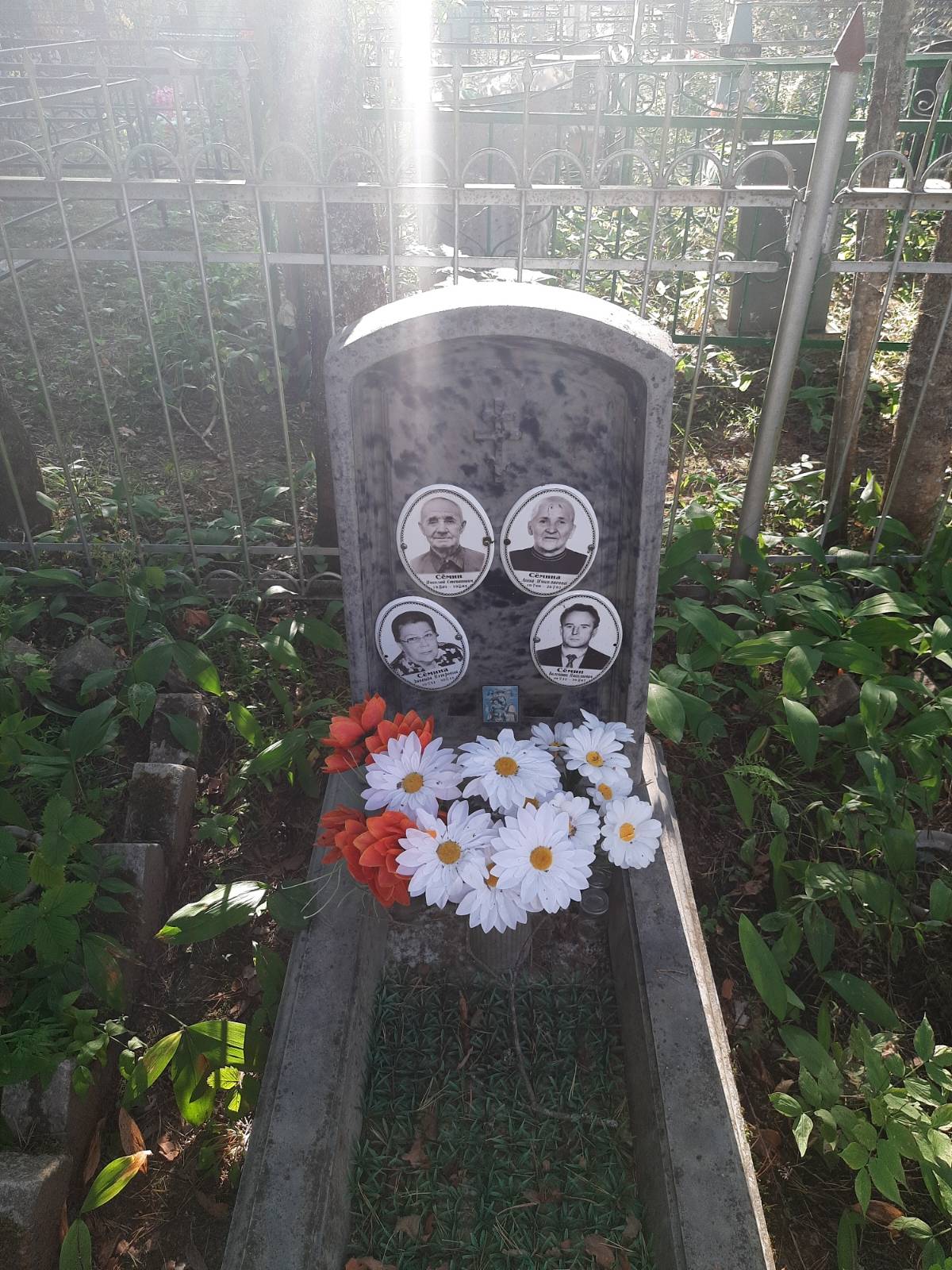 Сёмина Анна Николаевна