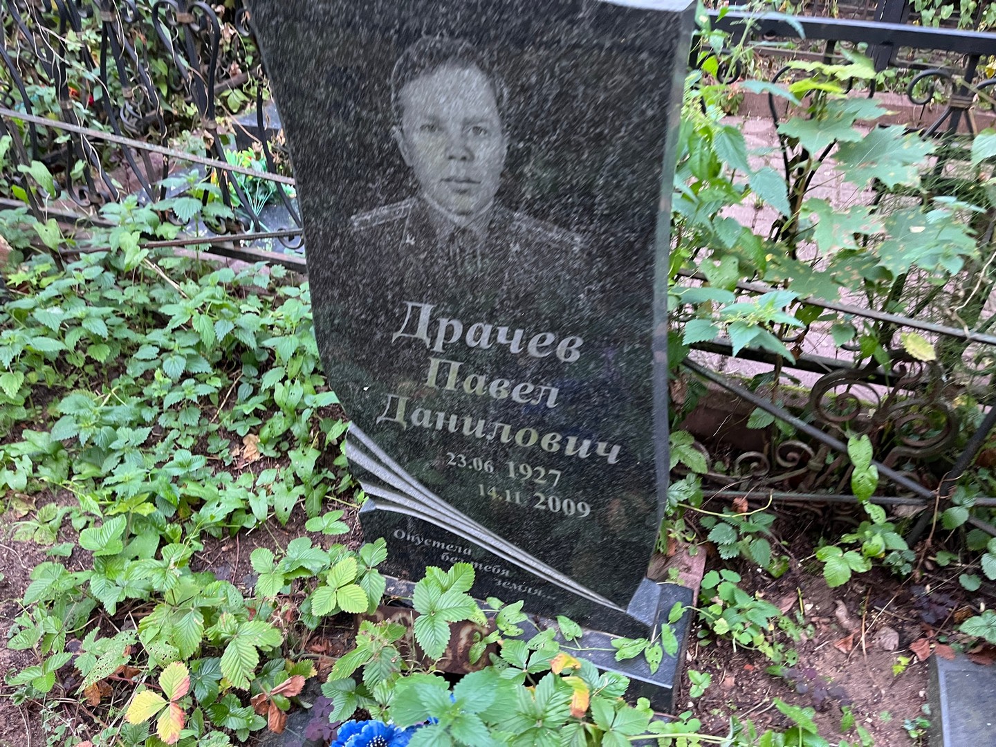 Драчев