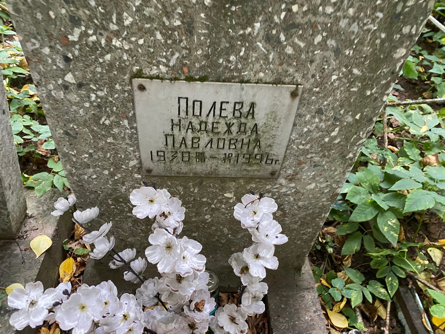 Полева