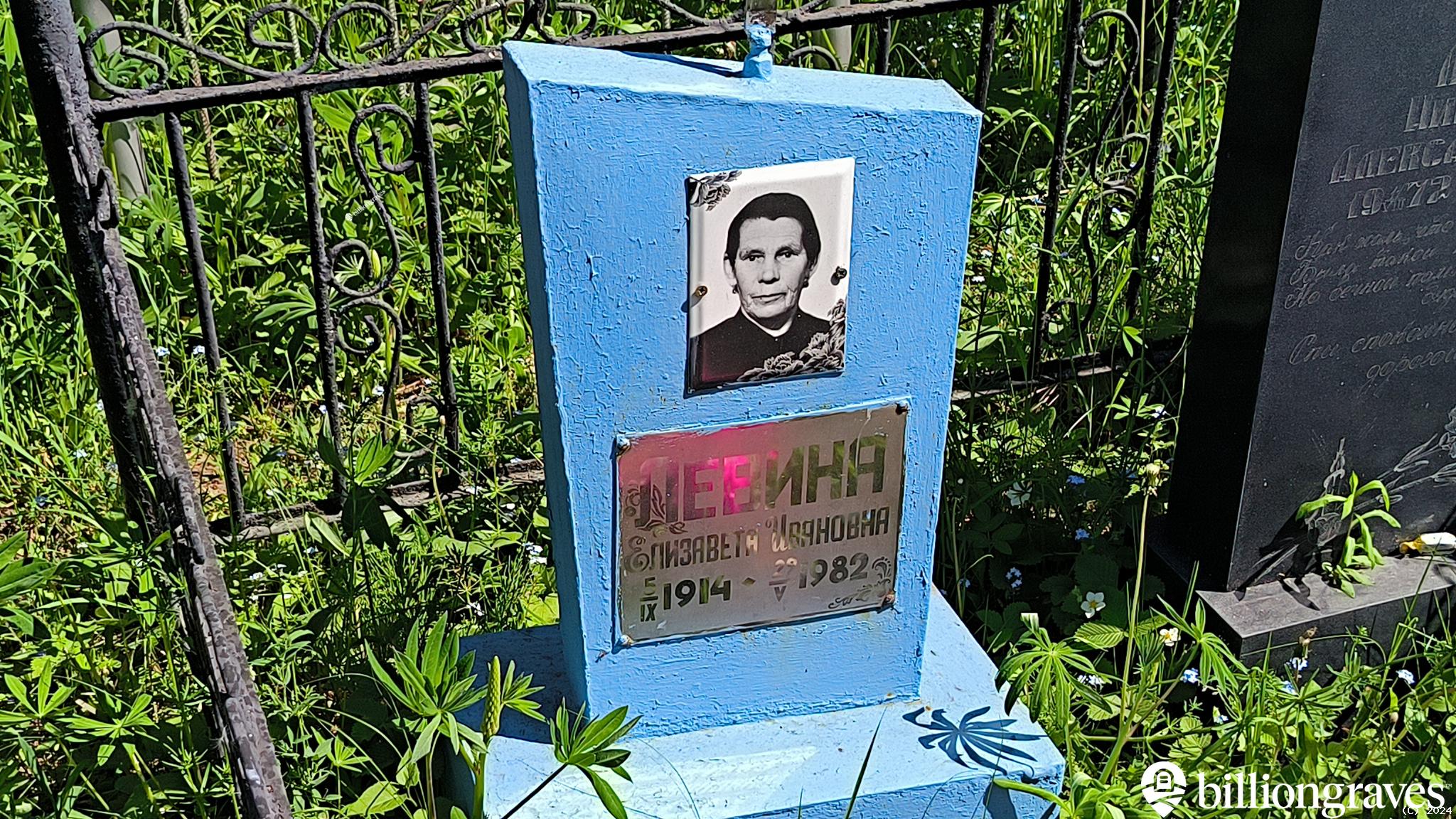 Левина Елизавета Ивановна