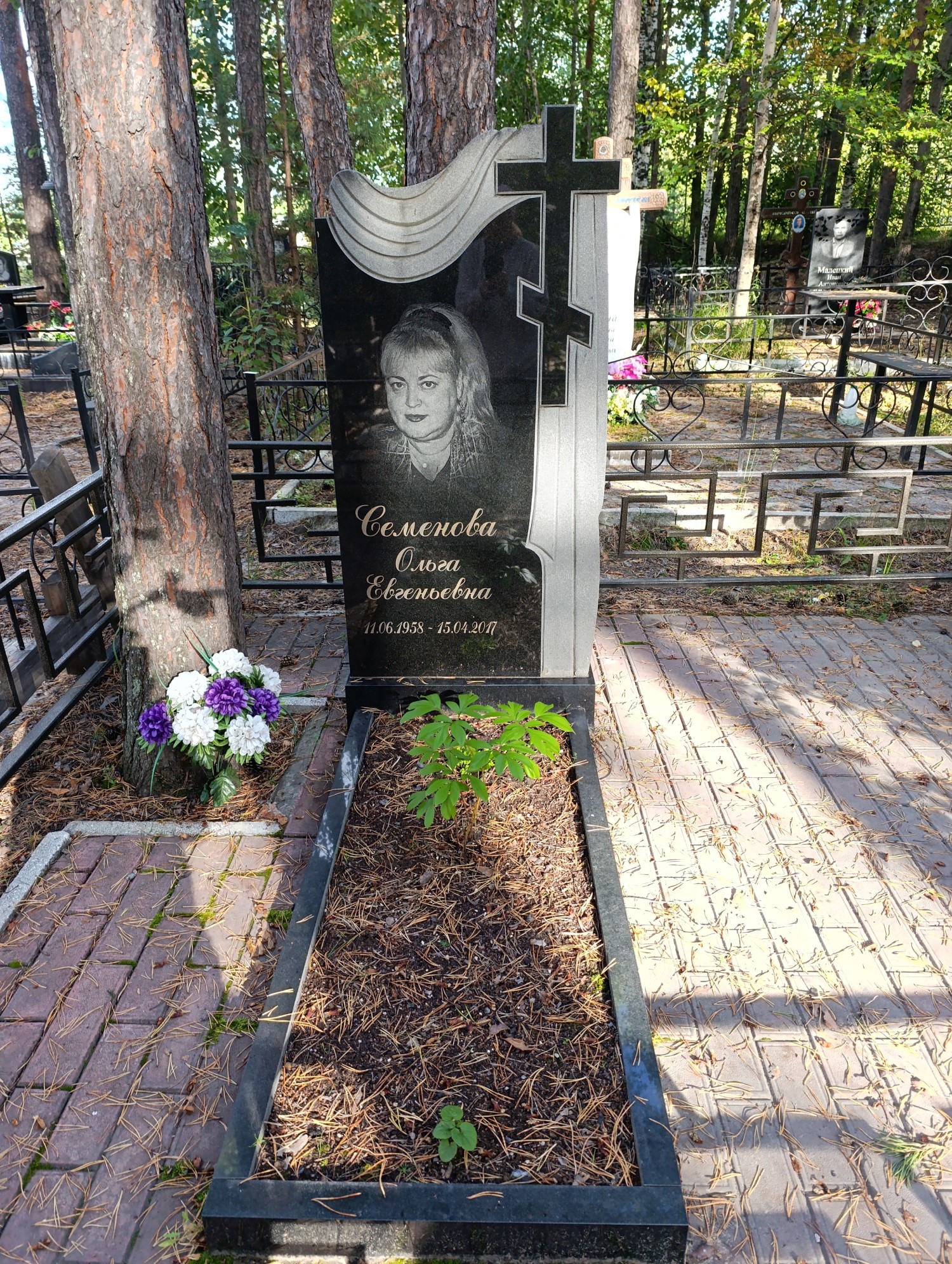 Семенова Ольга Евгеньевна