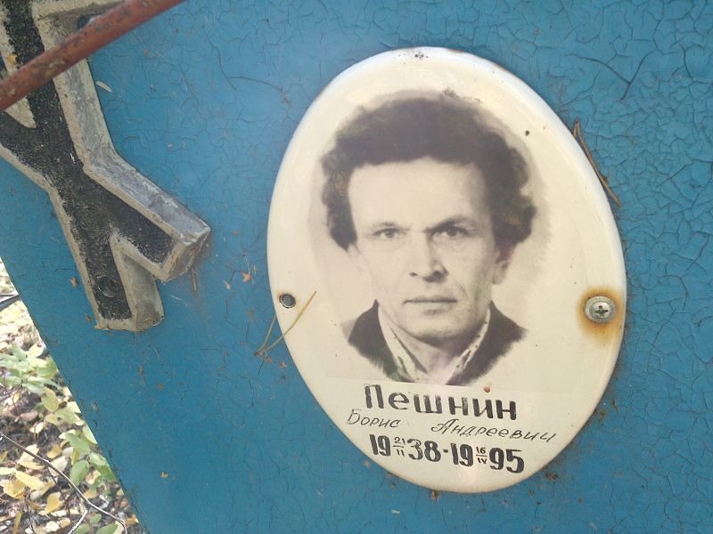 Пешнин