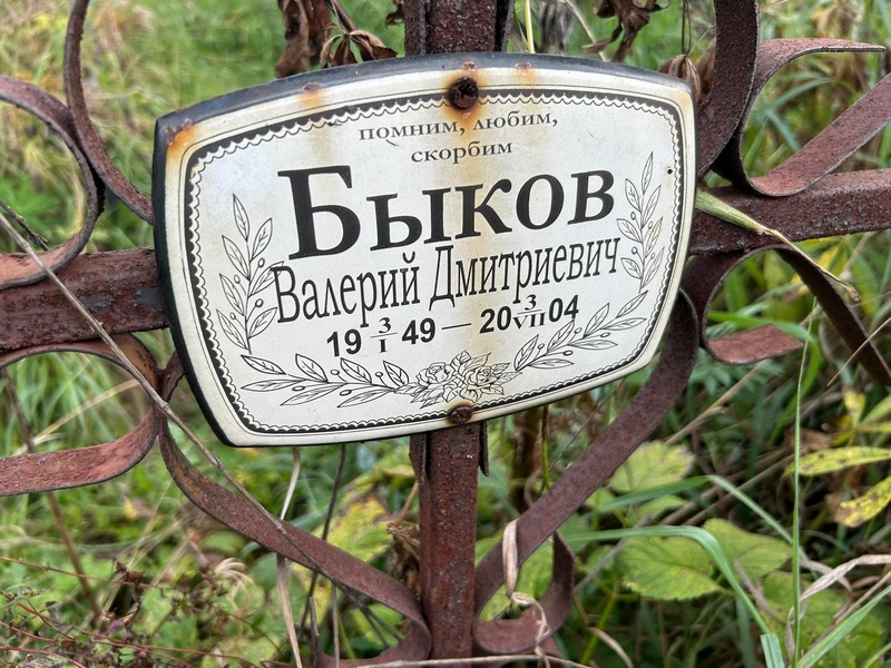Быков