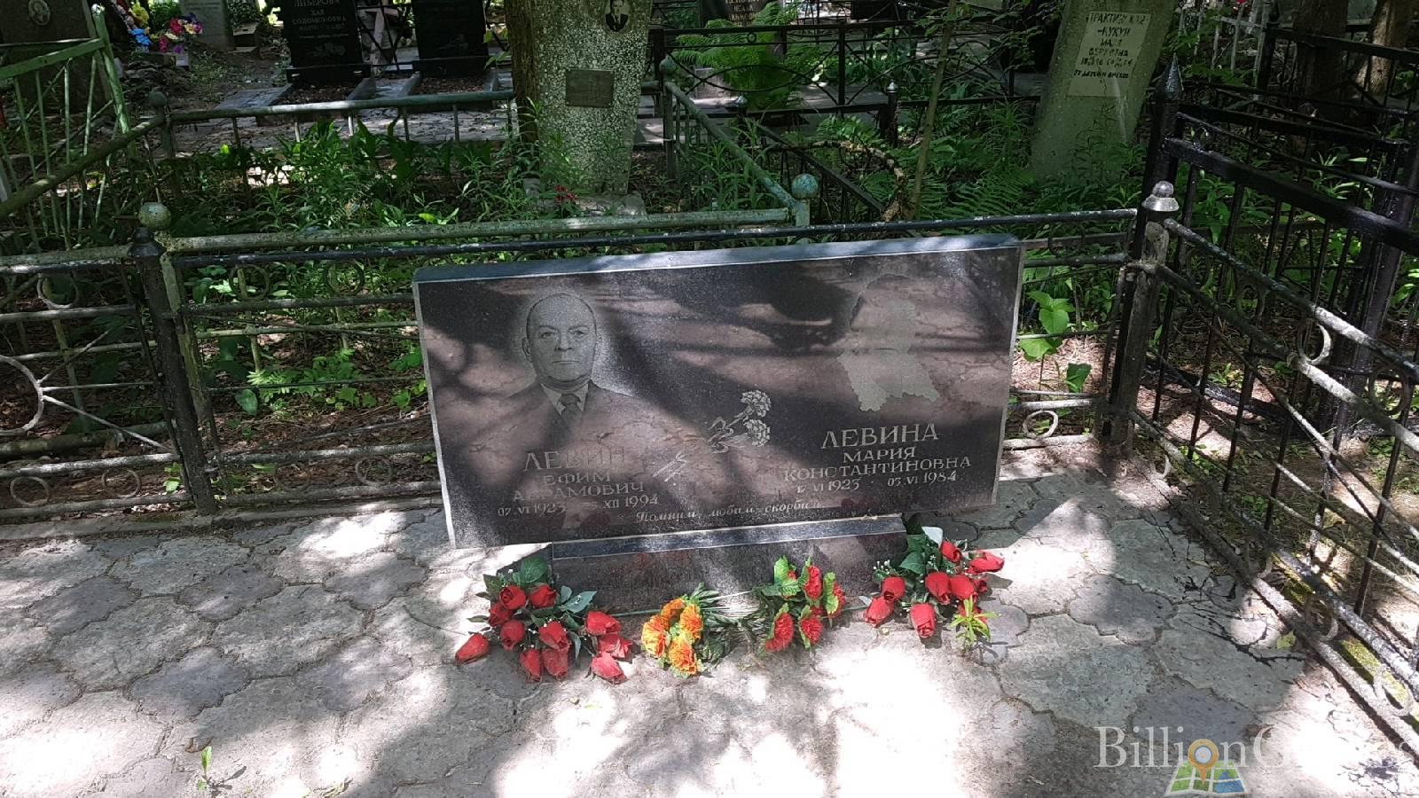 Левина Мария Константиновна