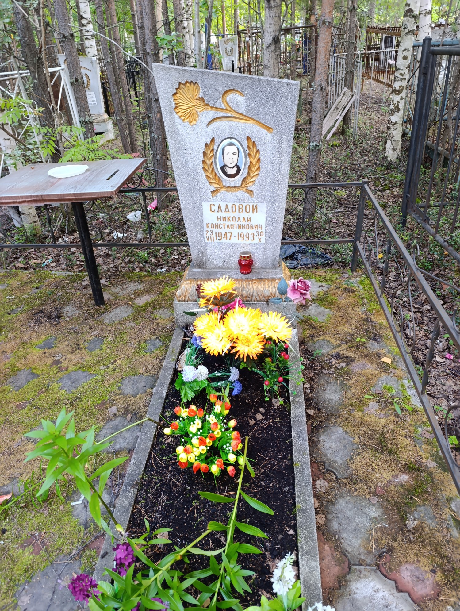Садовой Николай Константинович