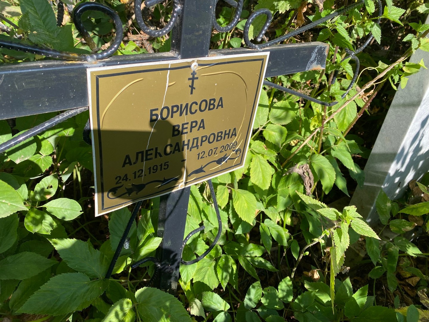 Борисова