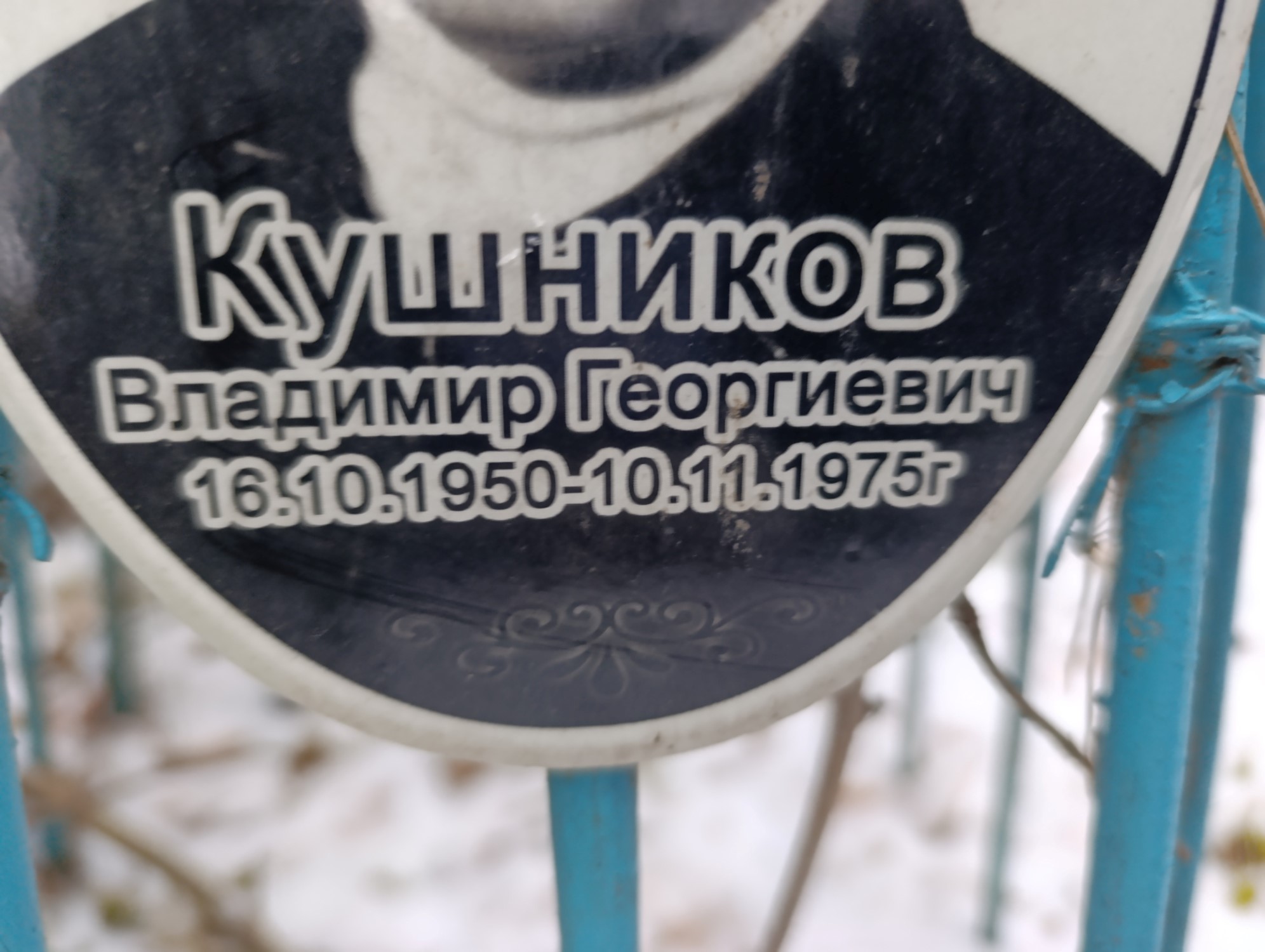 Кушиников Владимир Георгиевич