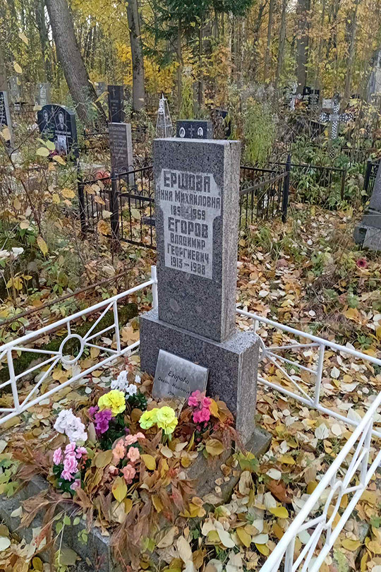 Егоров Владимир Георгиевич