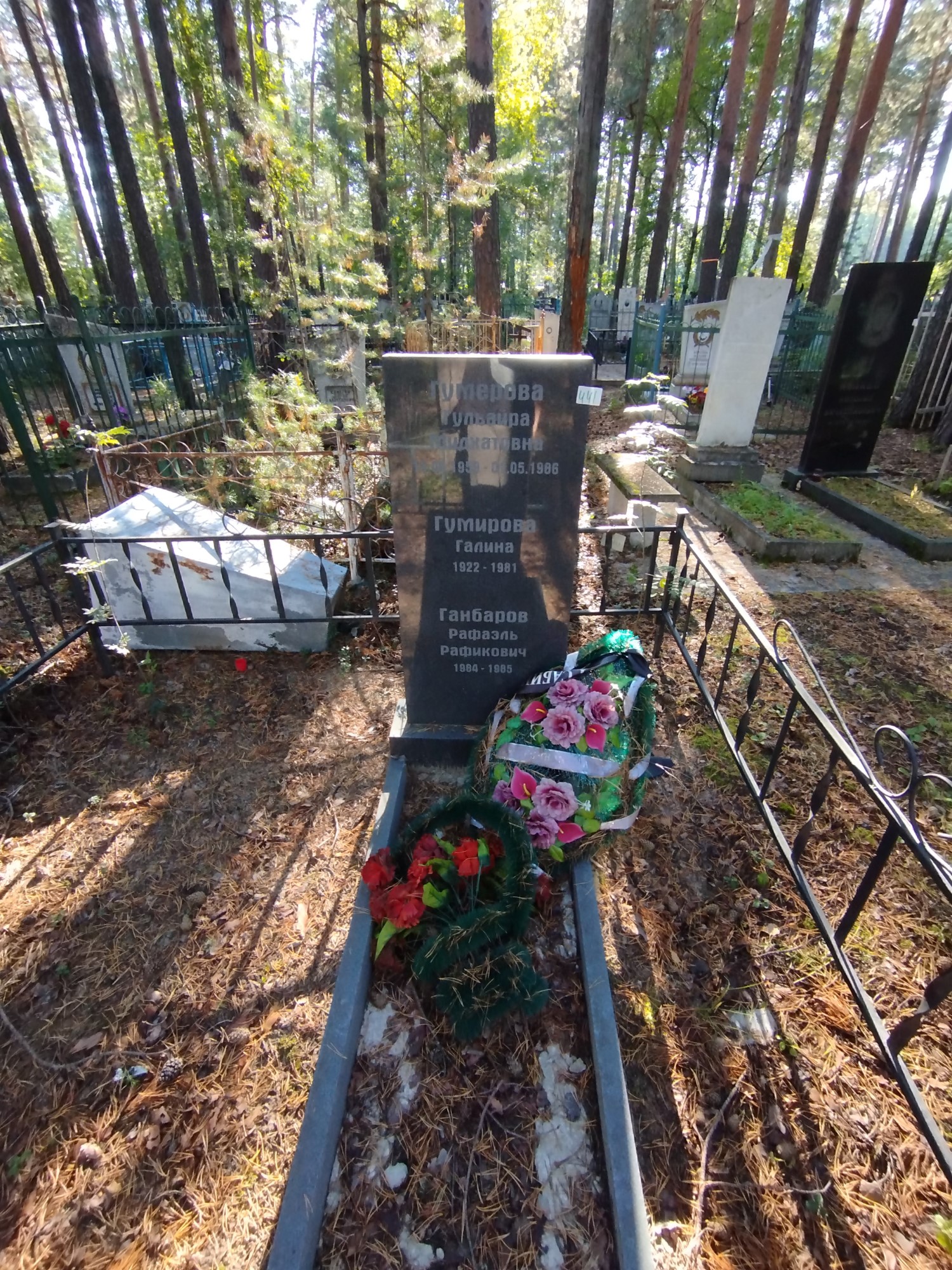 Гумерова Гульайра Мидхатовна