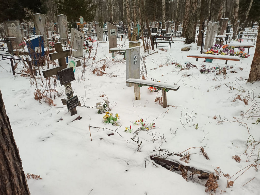 Елисеева Александра Петровна