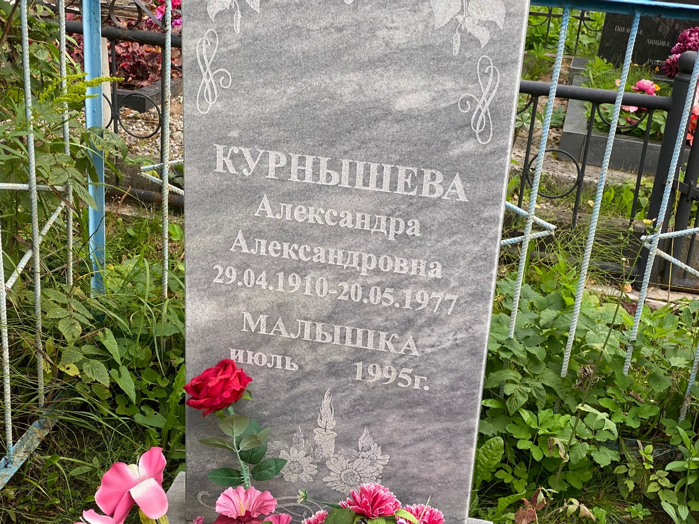 Курнышева Александра Александровна