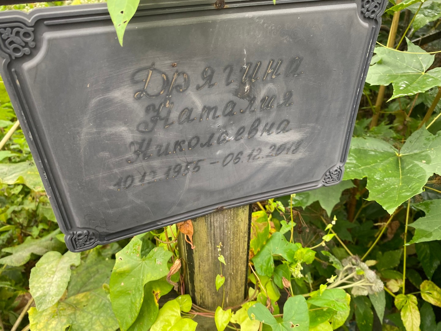 Наталия Дрягина Николаевна