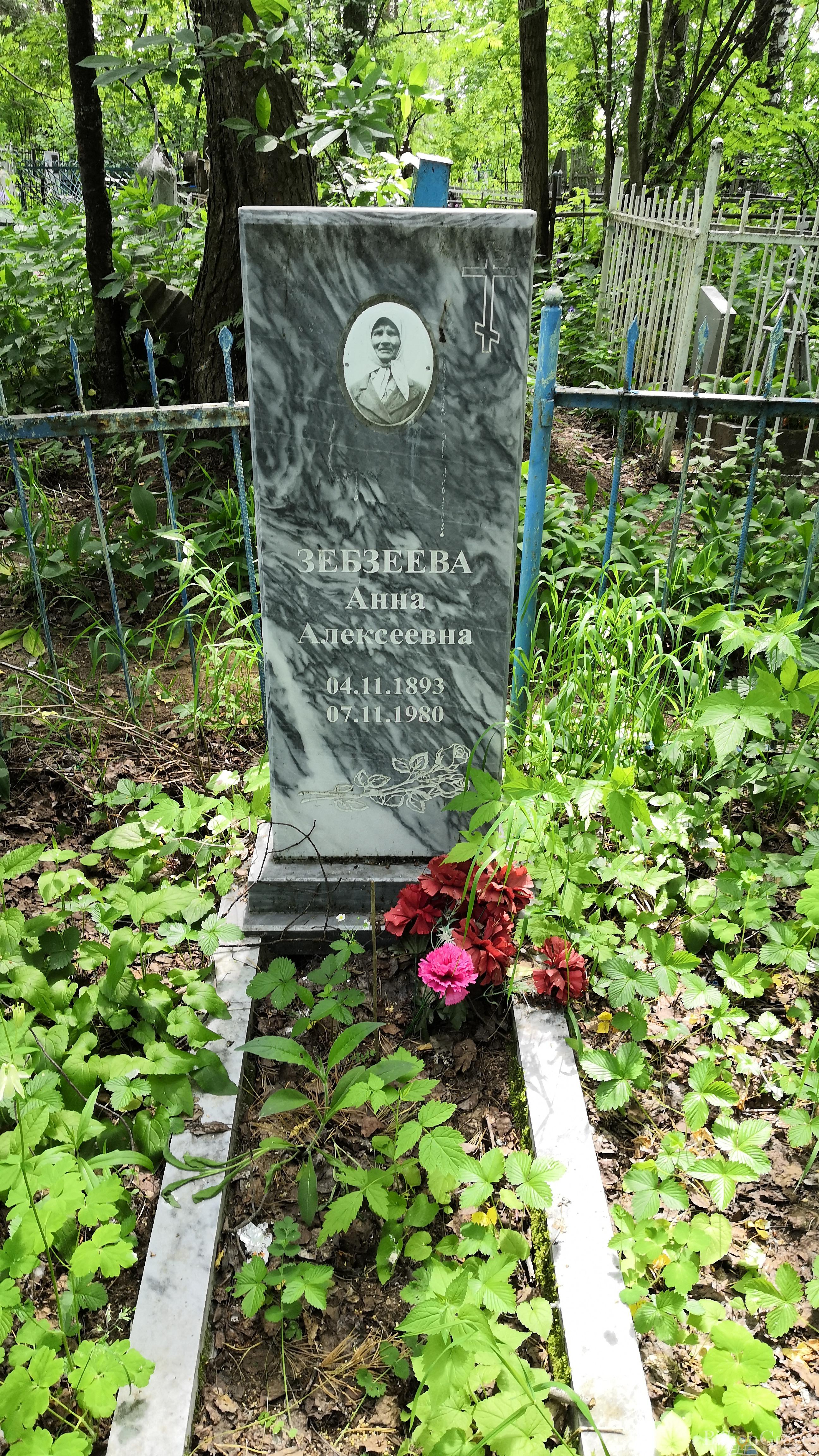 Зебзеева Анна Алексеевна