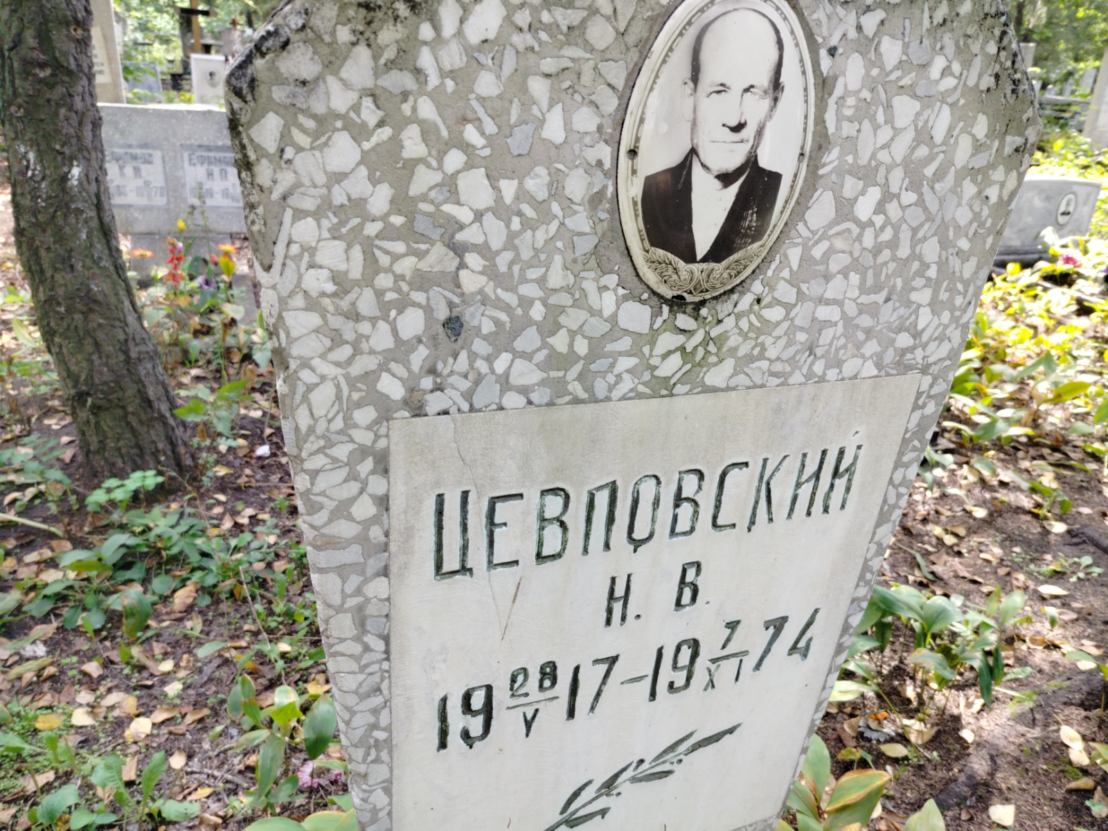 Цевловский Н. В.