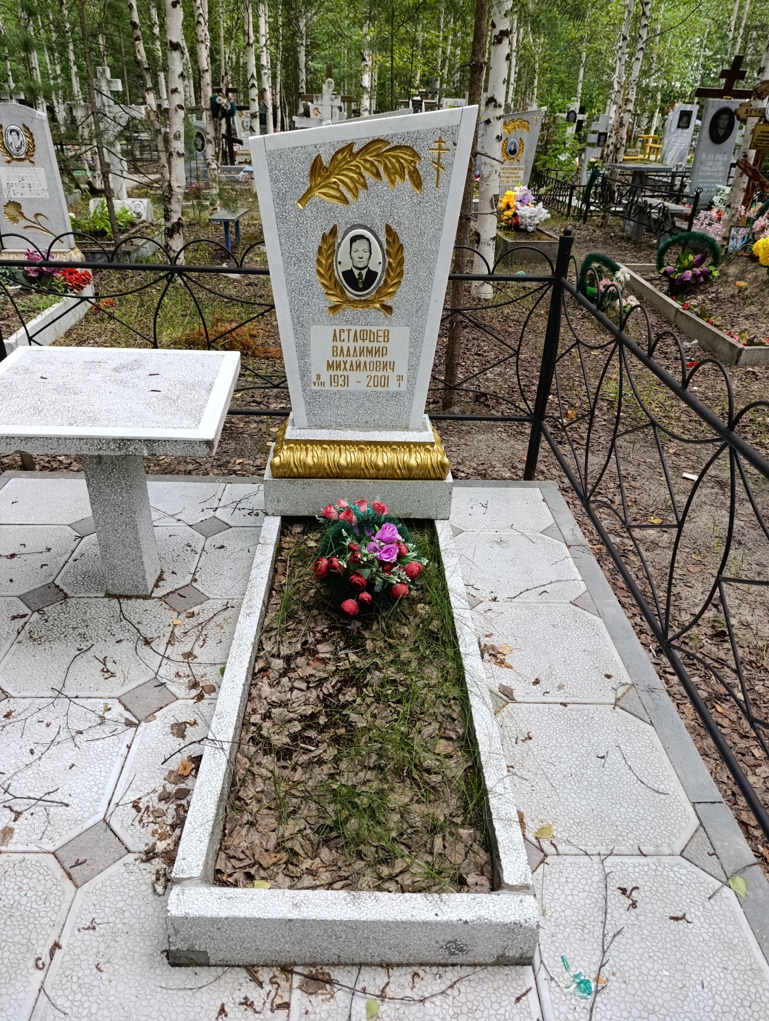 Астафьев Владимир Михайлович
