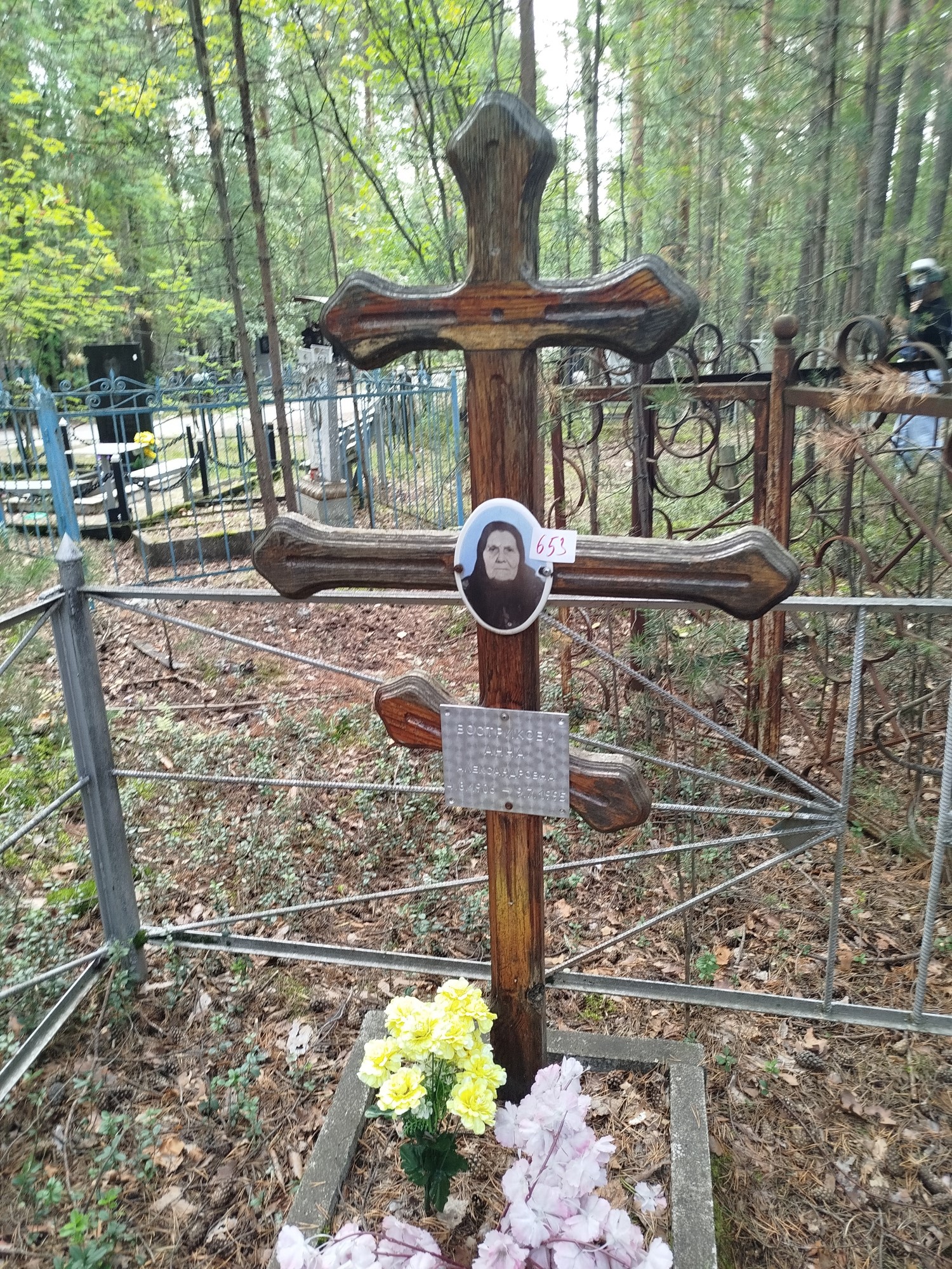 Вострикова Анна Александровна
