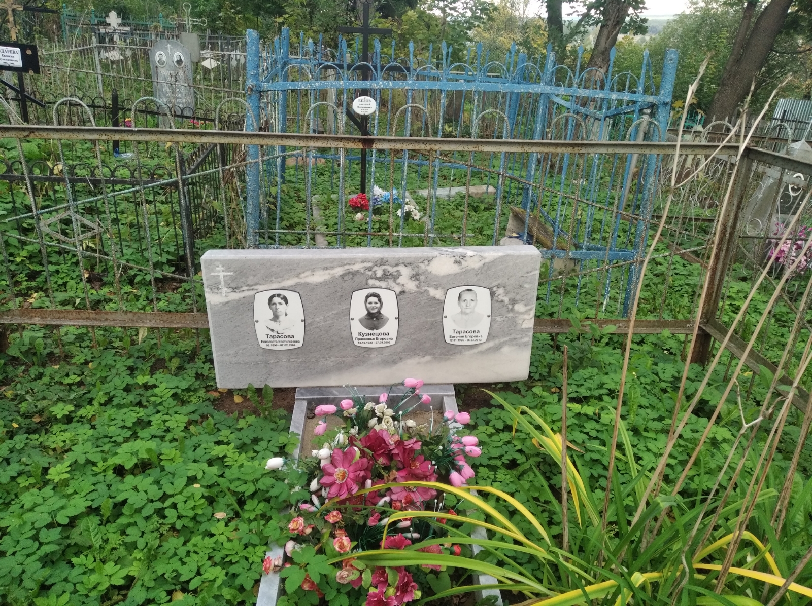 Тарасова Евгения Егоровна