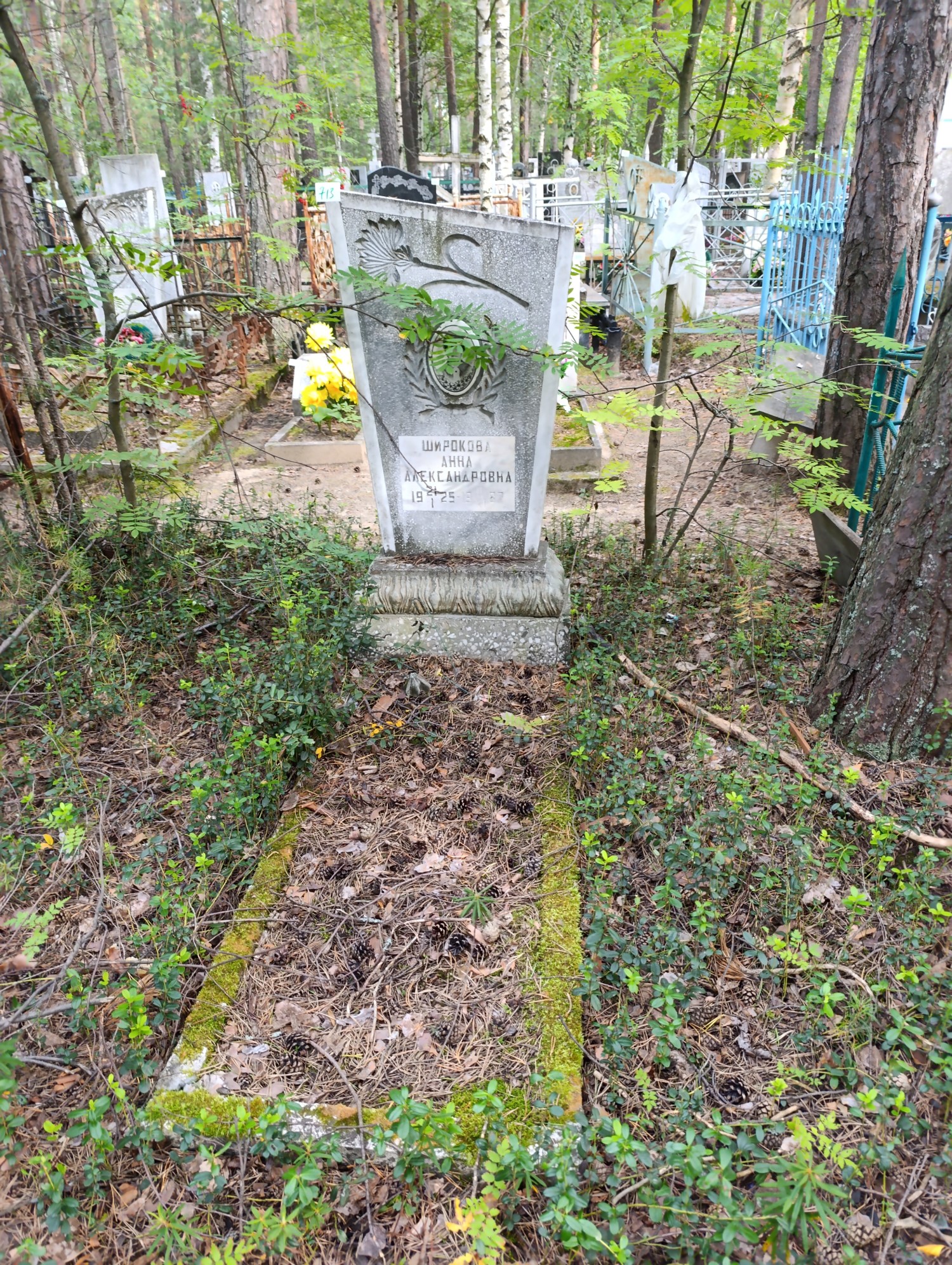 Широкова Анна Александровна