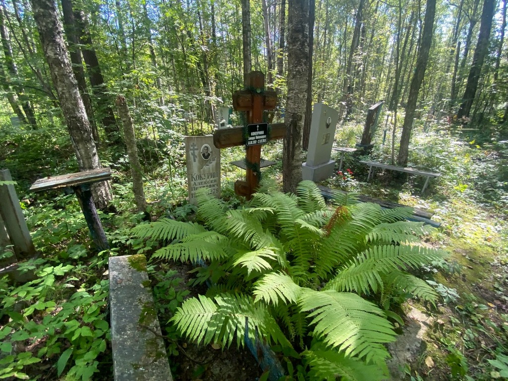 Кокурин Алексей Петрович