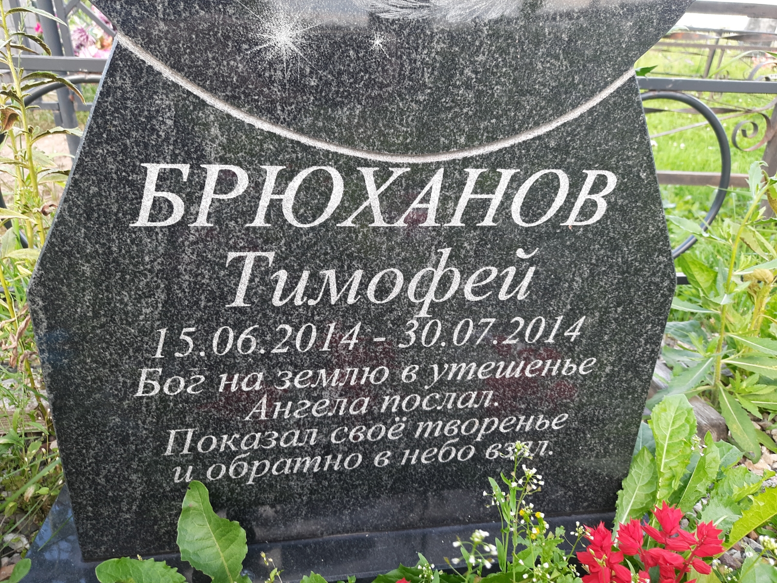Брюханов Тимофей