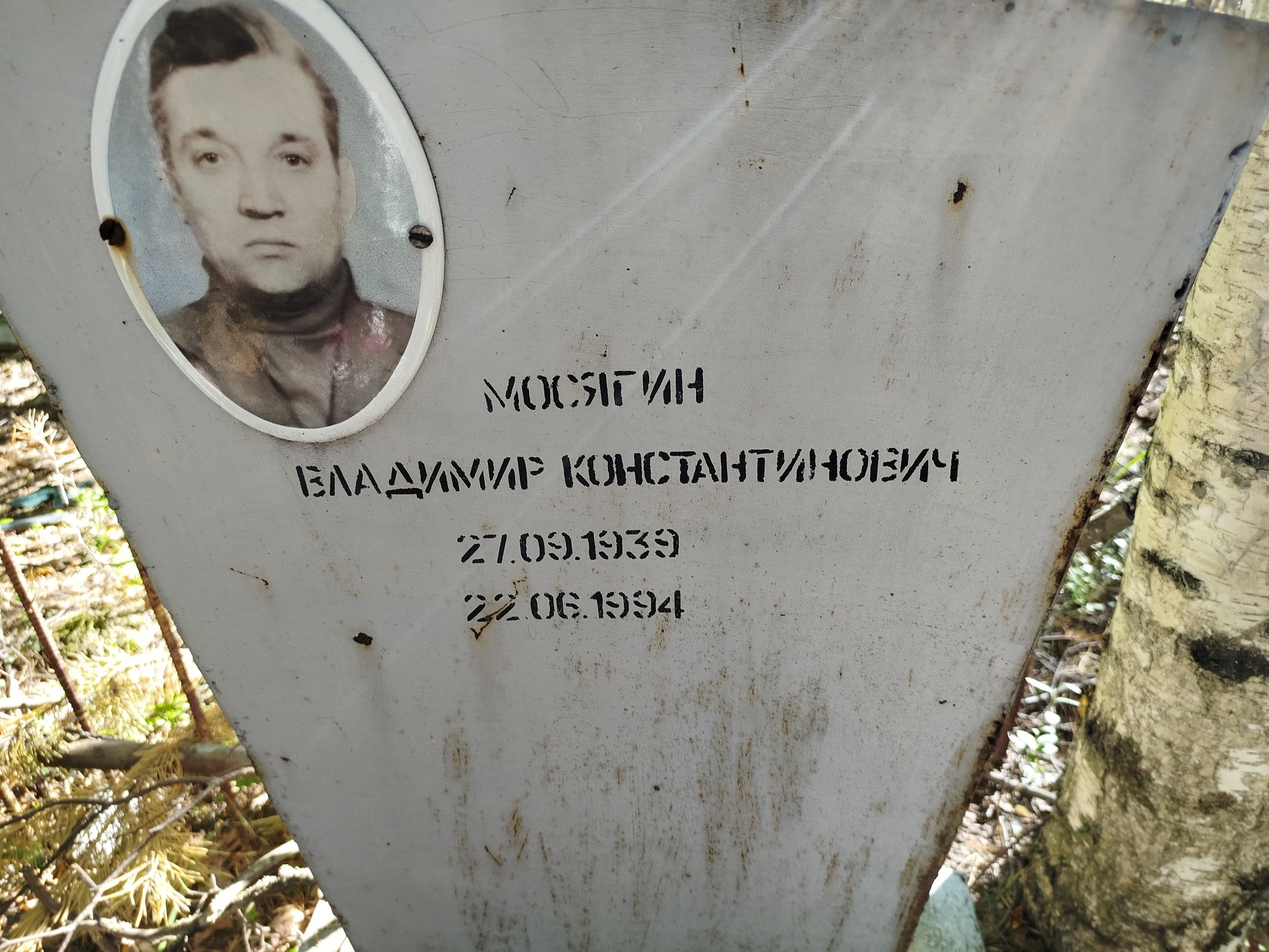 Мосягин Владимир Константинович