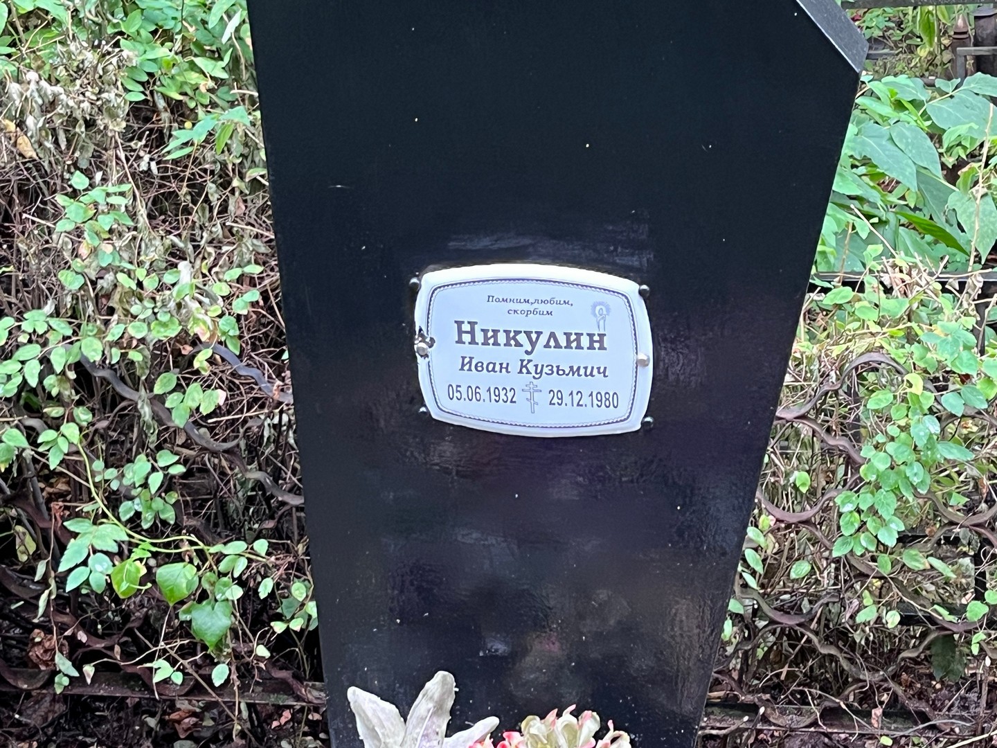 Никулин