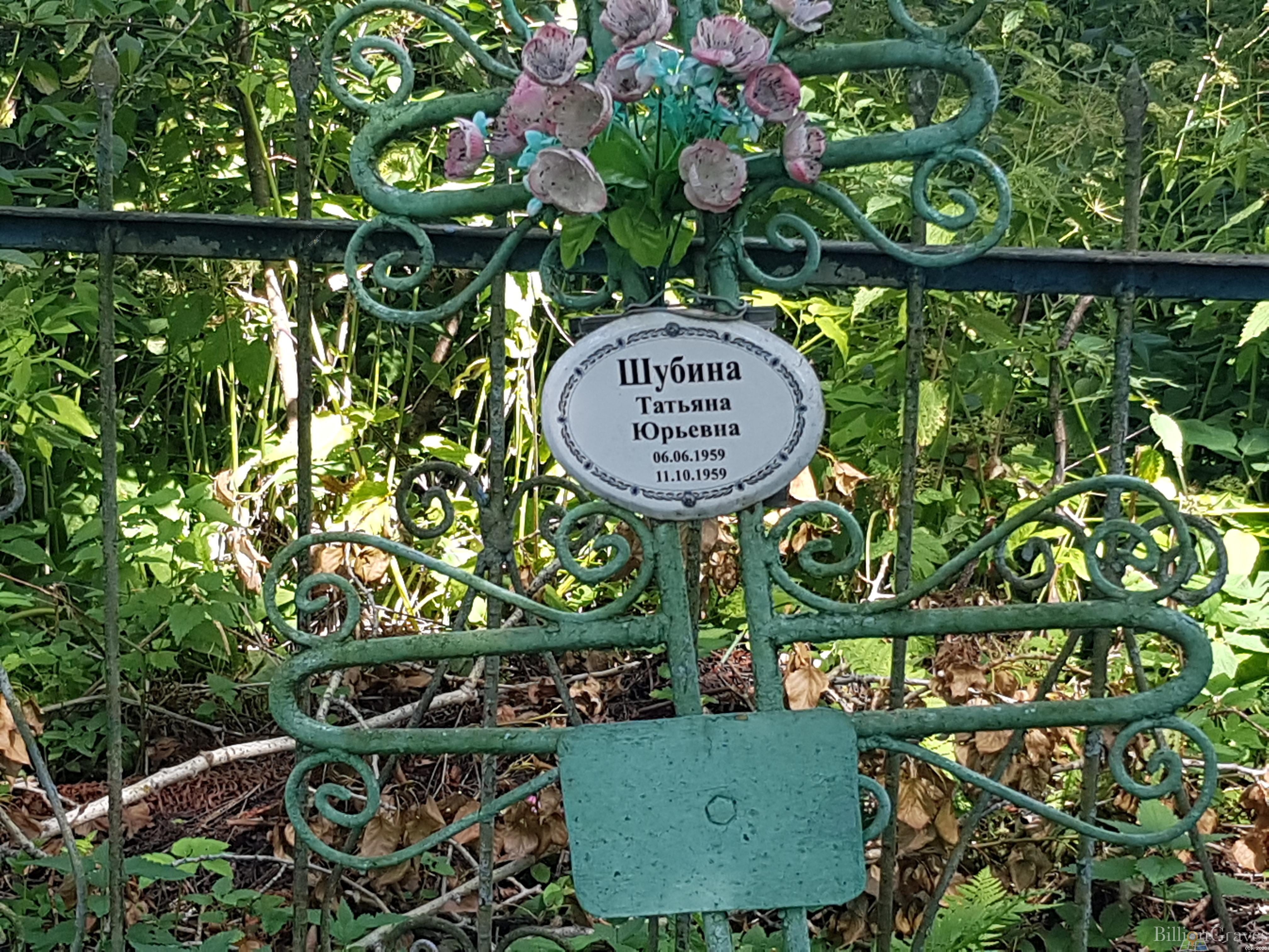 Шубина Татьяна Юрьевна