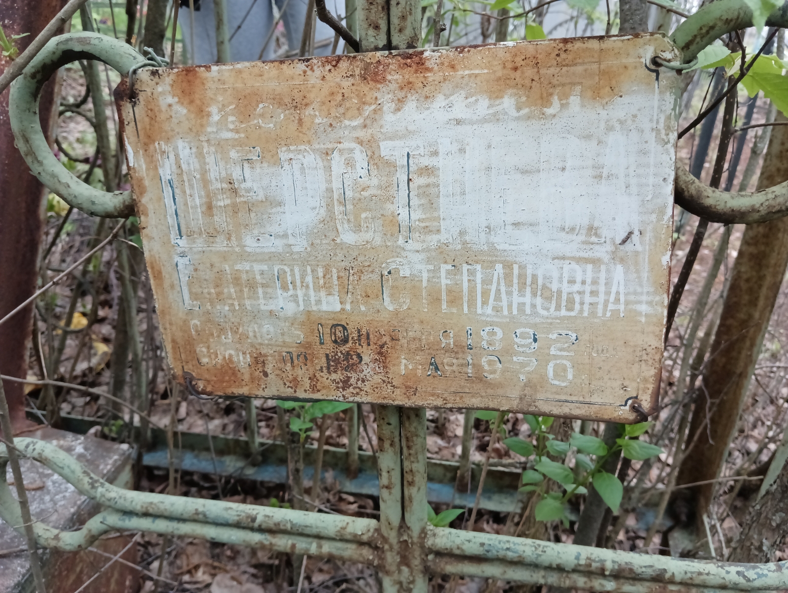 Шерстнева Екатерина Степановна