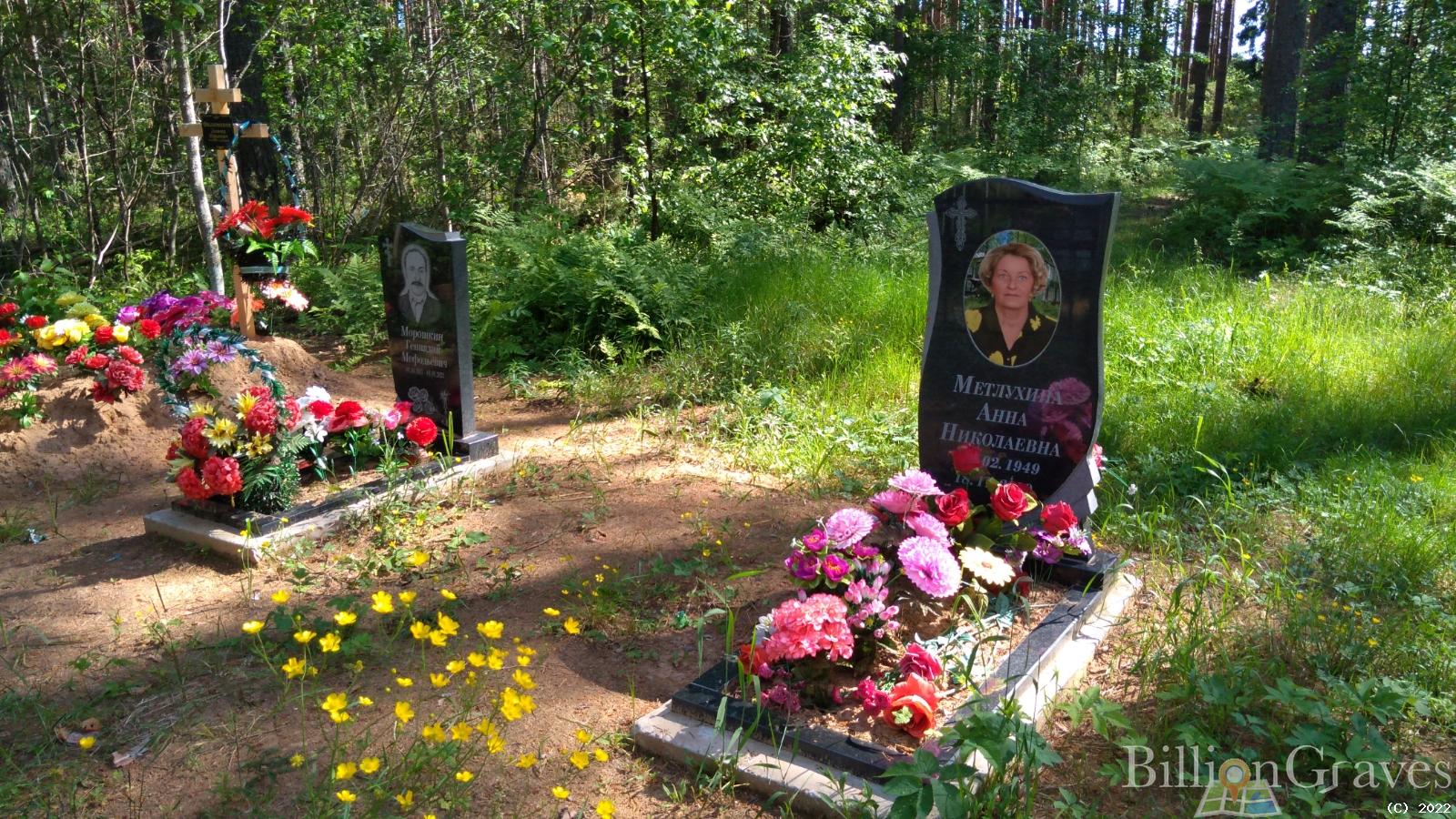 Метлухина Анна Николаевна