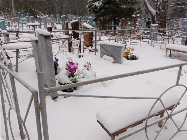 Хазова Надежда Степановна