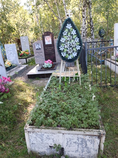 Маркин Михаил Ильич