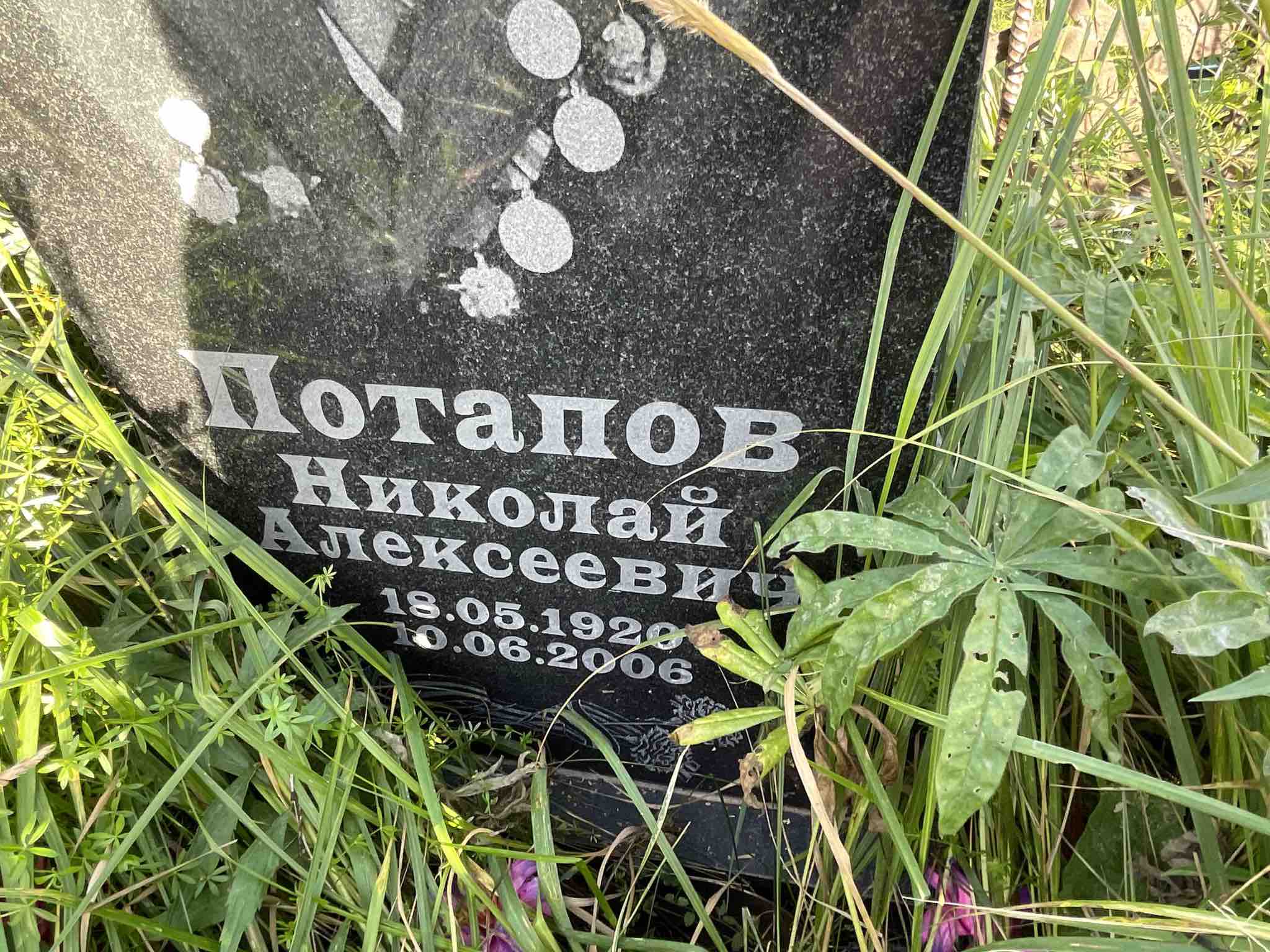 Потапов Николай Алексеевич