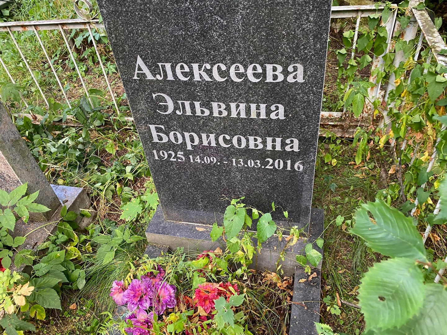 Эльвина Алексеева Борисовна