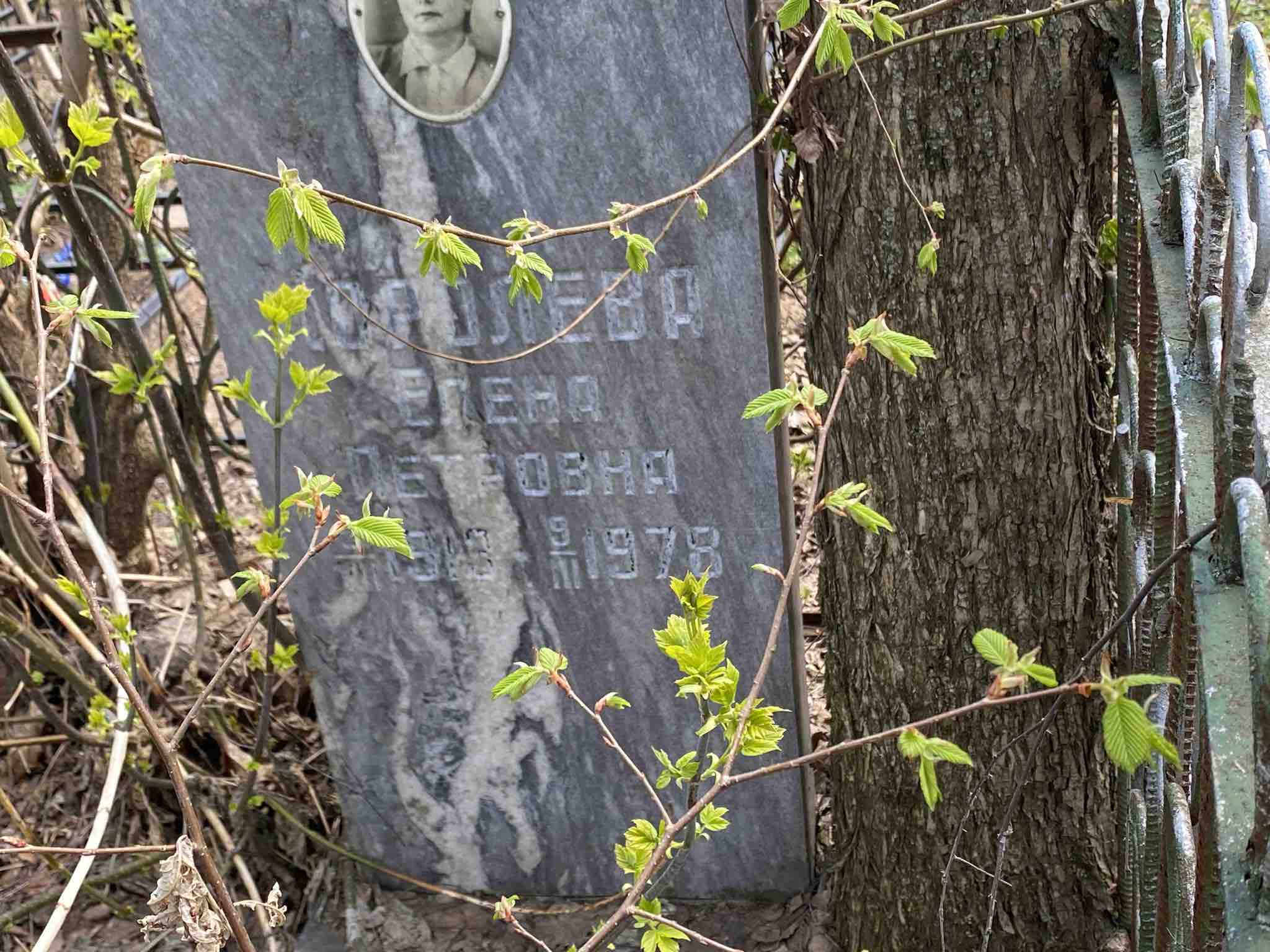 Королева Елена Петровна