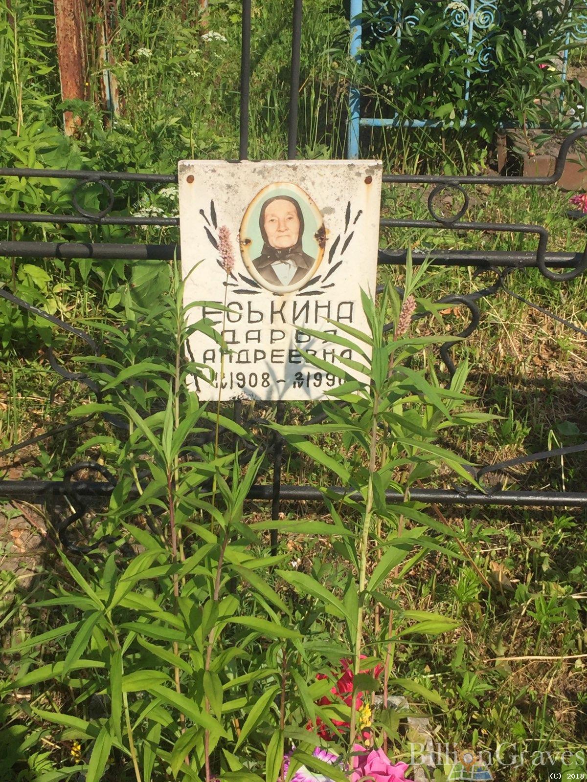 еськина дарья андреевна