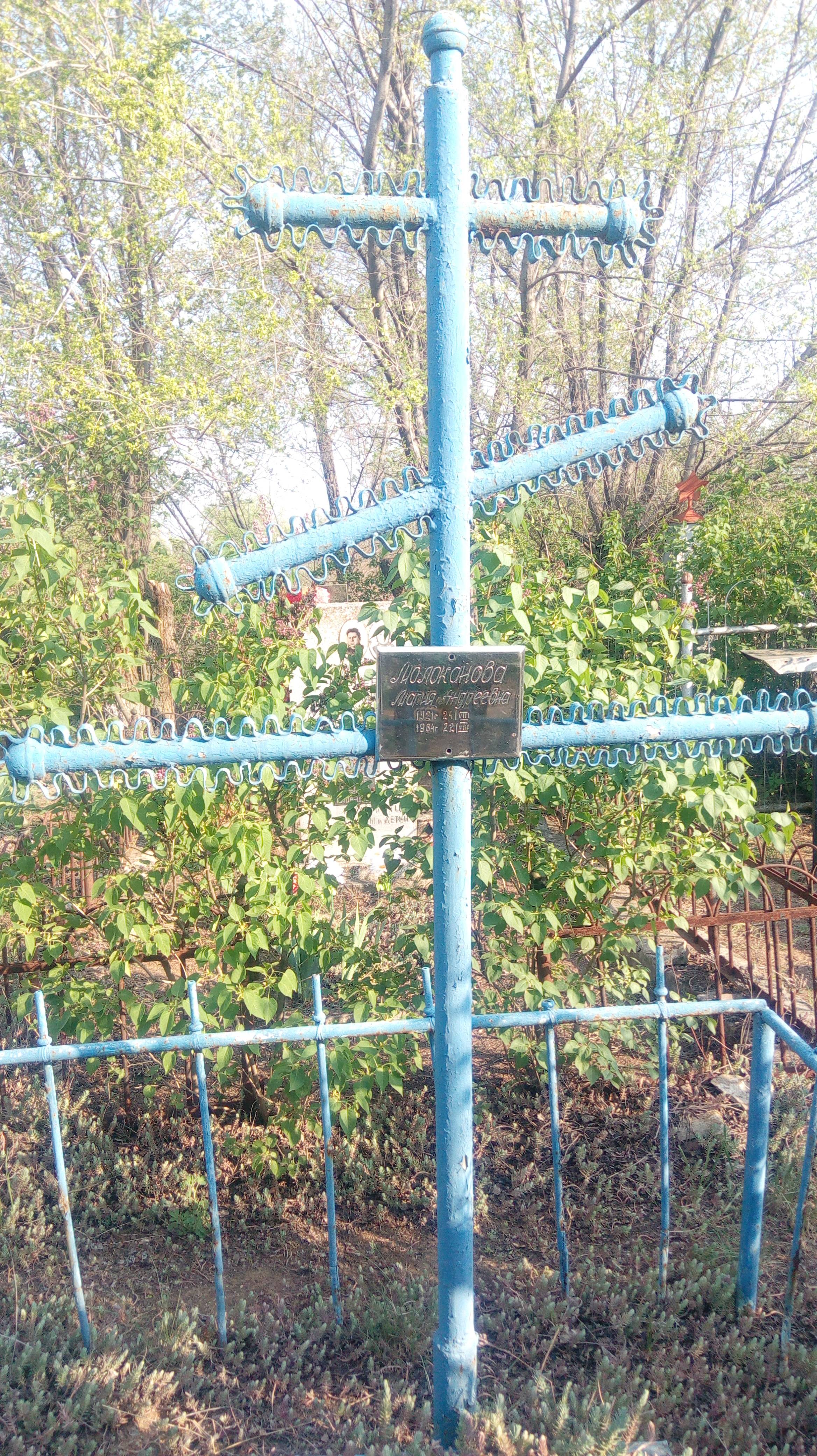 Молоканова Мария Андреевна