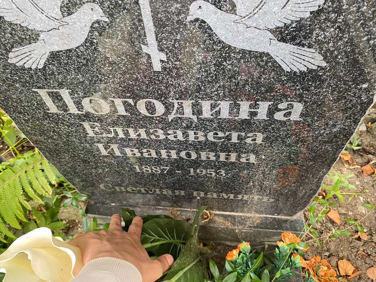 Погодина