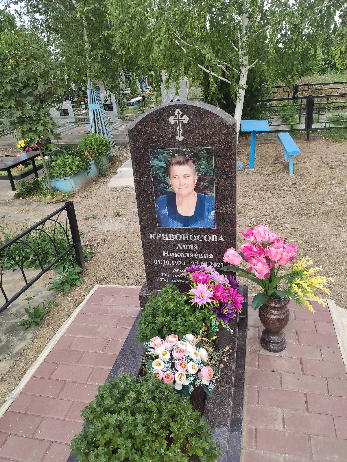 Кривоносова Анна Николаевна