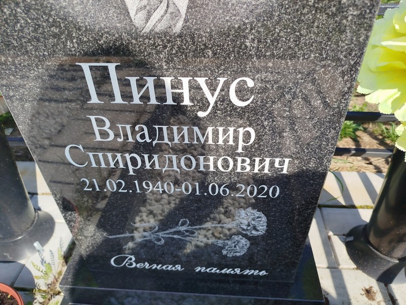 Пинус