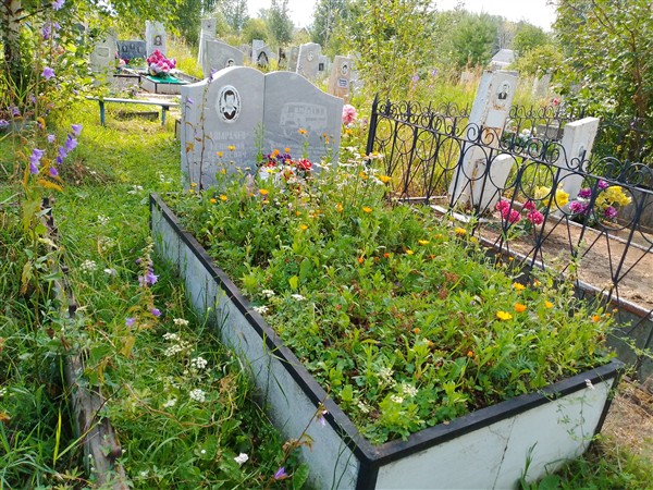 Домрачев Геннадий Сергеевич