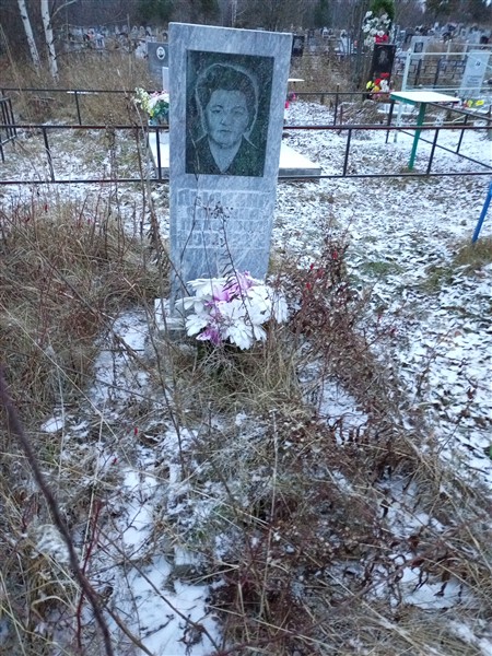 Дылдина Альбина Петровна