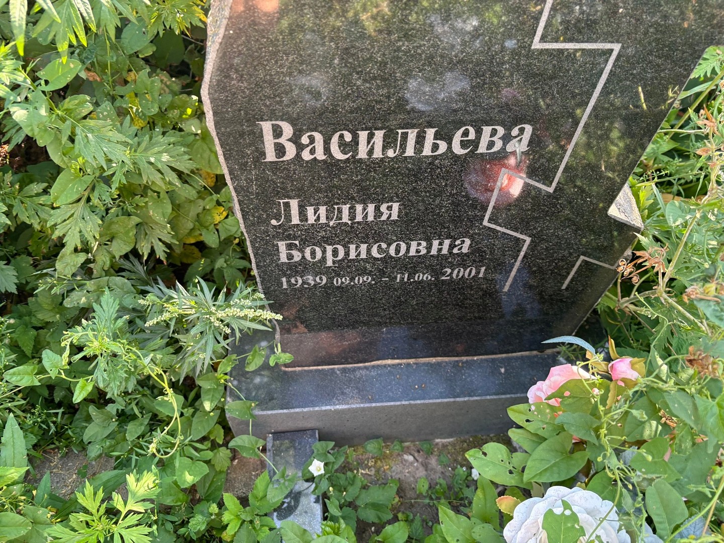 Васильева