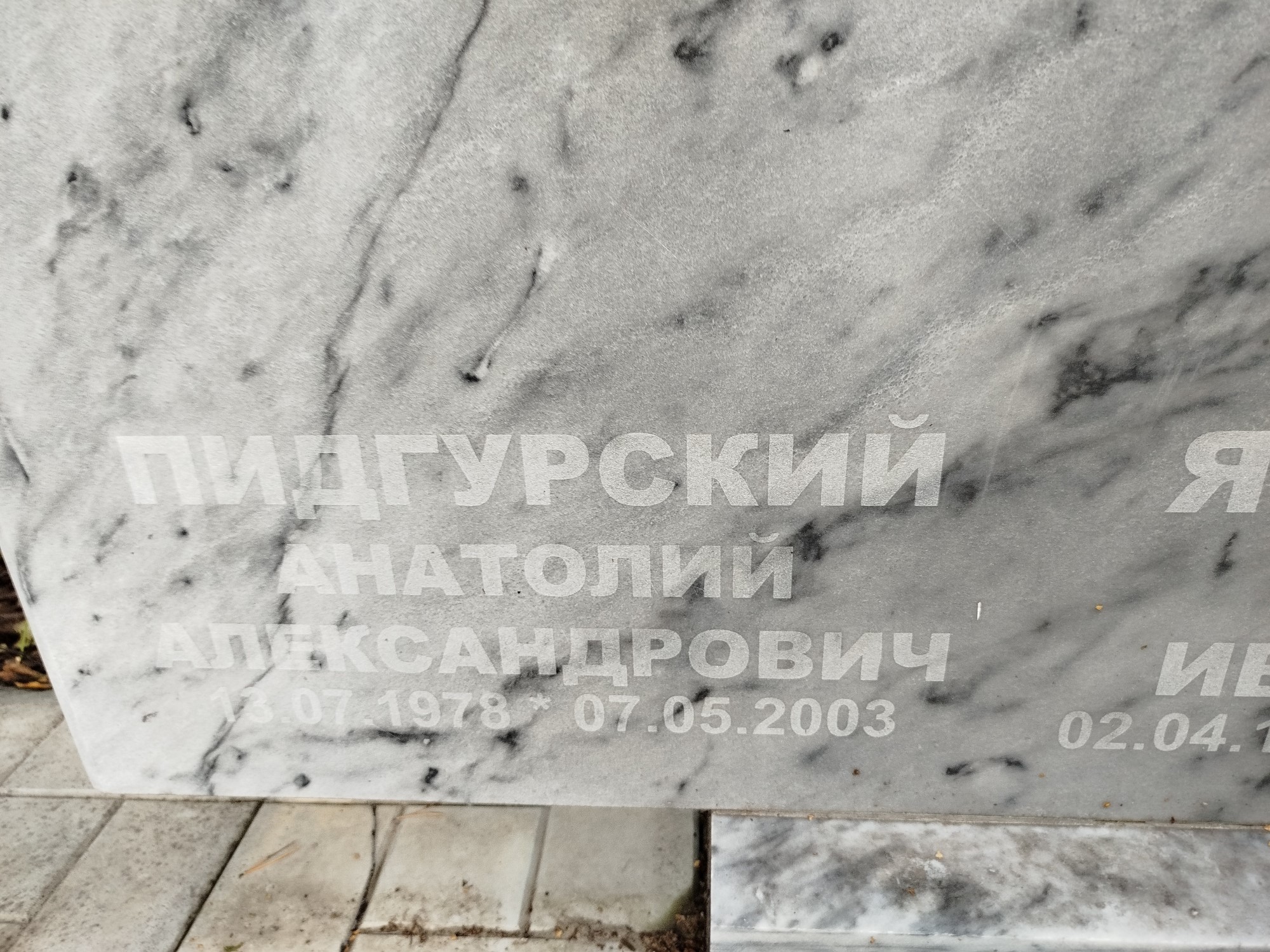 Пидгурский Анатолий Александрович