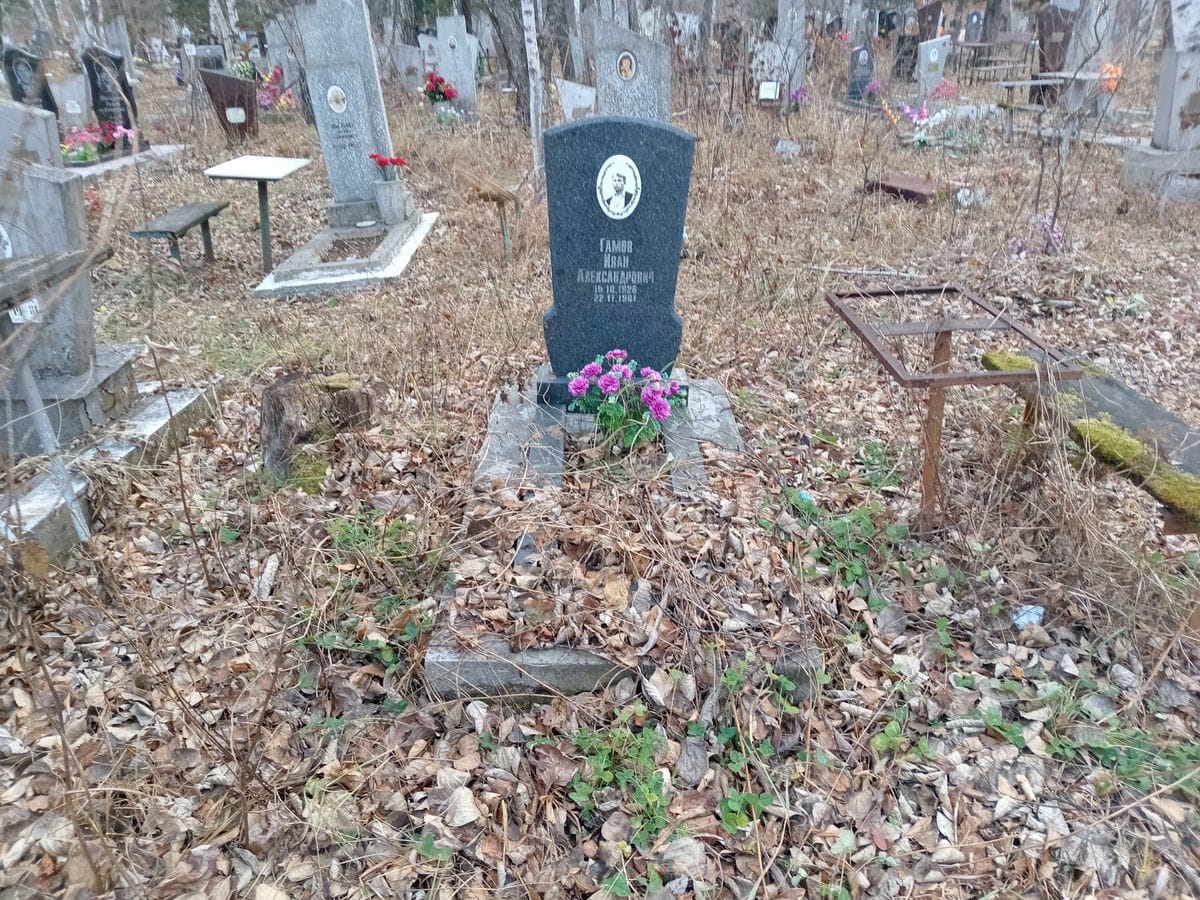Гамов Иван Александровна