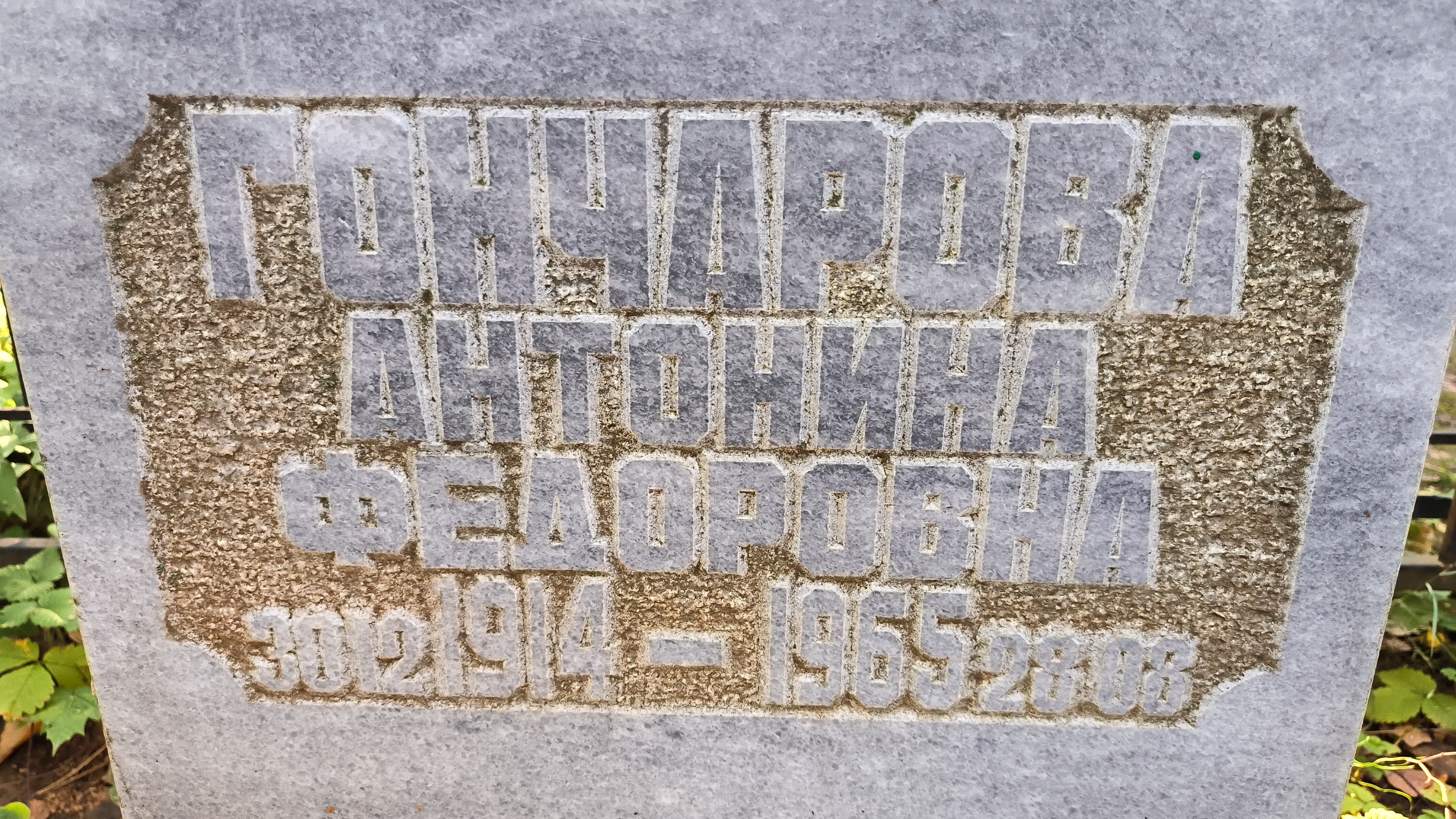 Шанина Татьяна Александровна