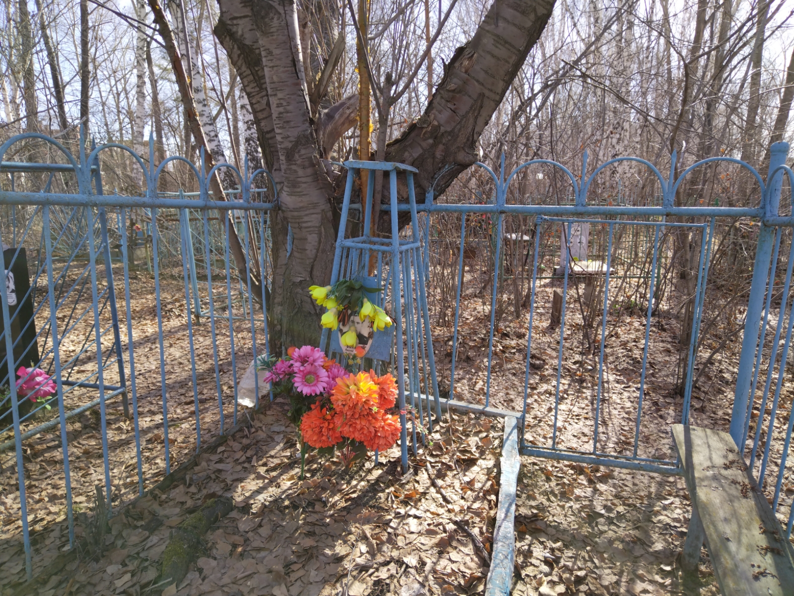 Бойко Николай Иванович