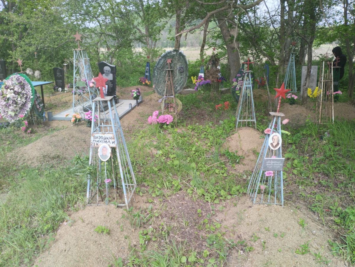 Видяйкина Василиса Михайловна