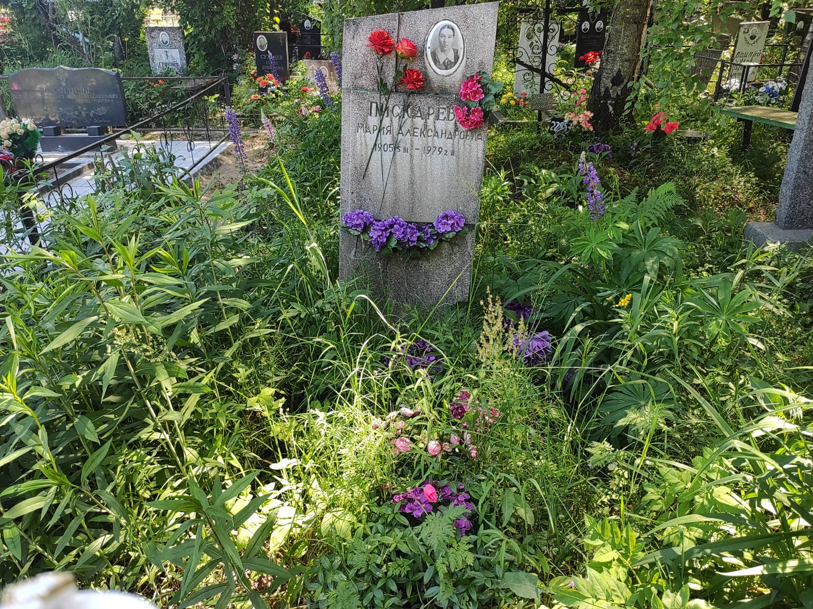 Пискарева Мария Александровна